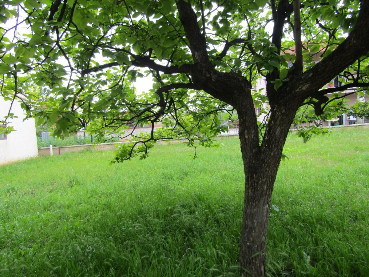 Green Garden Apartments 로비니 외부 사진